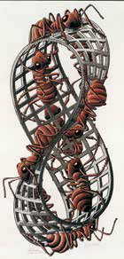 Il «Nastro di Moebius (Formiche rosse)» di Escher